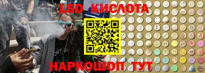 шишки Бузулук