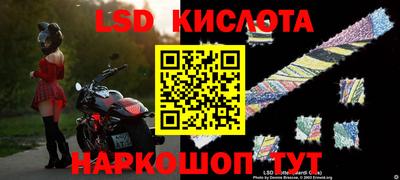 шишки Бузулук