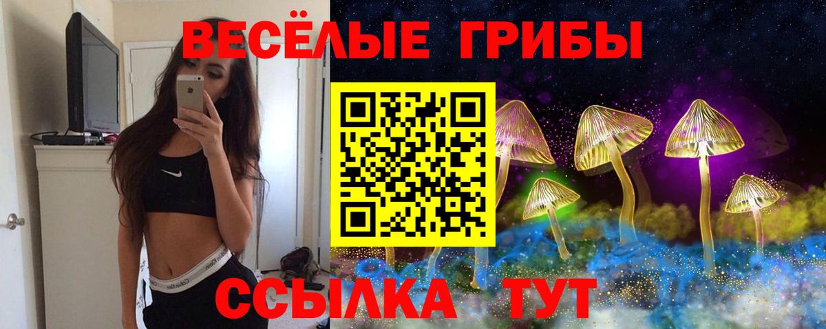Псилоцибиновые грибы мухоморы Рубцовск